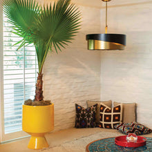 Load image into Gallery viewer, Gigi Drum Pendant Light in living room.
