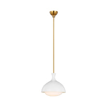 Load image into Gallery viewer, Lucerne Pendant Light in Detail.
