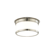 Load image into Gallery viewer, Geneva Flush Mount Ceiling Light in 1-Light/Satin Nickel.
