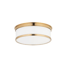 Load image into Gallery viewer, Geneva Flush Mount Ceiling Light in 2-Light/Aged Brass.
