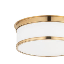 Load image into Gallery viewer, Geneva Flush Mount Ceiling Light in Detail.
