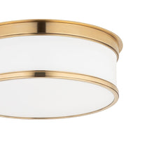 Load image into Gallery viewer, Geneva Flush Mount Ceiling Light in Detail.
