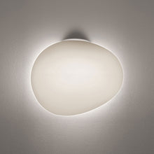 Load image into Gallery viewer, Gregg Ceiling/Wall Light in Small/White.
