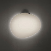 Load image into Gallery viewer, Gregg Ceiling/Wall Light in Small/Graphite.
