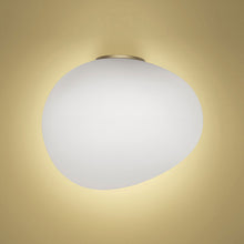 Load image into Gallery viewer, Gregg Ceiling/Wall Light in Medium/Gold.
