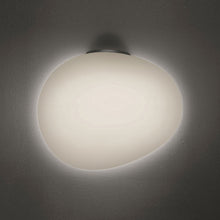 Load image into Gallery viewer, Gregg Ceiling/Wall Light in Medium/Graphite.
