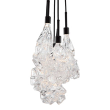 Load image into Gallery viewer, Blossom Cluster LED Pendant Light in Detail.
