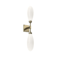 Load image into Gallery viewer, Fiori LED Wall Light in Heritage Brass (2-Light).
