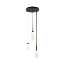 Load image into Gallery viewer, Fiori Round LED Multi Light Pendant Light in Flat Bronze (3-Light).
