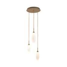 Load image into Gallery viewer, Fiori Round LED Multi Light Pendant Light in Gilded Brass (3-Light).

