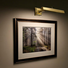Load image into Gallery viewer, Hemmingway LED Picture Light in living room.
