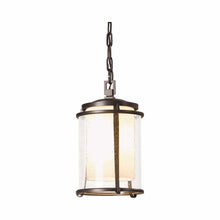 Load image into Gallery viewer, Meridian Outdoor Pendant Light in Small/Coastal Black/Incandescent.
