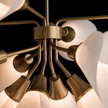 Load image into Gallery viewer, Mobius Multi-Light Pendant Light in Detail.
