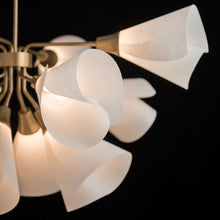 Load image into Gallery viewer, Mobius Multi-Light Pendant Light in Detail.
