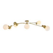 Load image into Gallery viewer, Sprig Semi-Flush Mount Ceiling Light in Detail.
