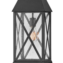Load image into Gallery viewer, Briar Outdoor Pendant Light in Detail.
