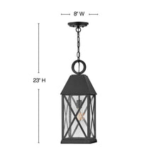 Load image into Gallery viewer, Briar Outdoor Pendant Light - line drawing.
