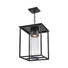 Load image into Gallery viewer, Coen Outdoor Pendant Light in Detail.
