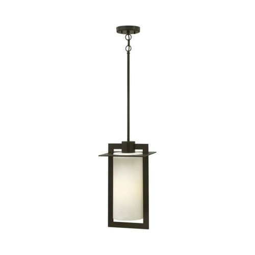 Colfax Outside Area Pendant Light in Bronze.