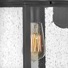 Load image into Gallery viewer, Grant Outside Area Wall Light in Detail.
