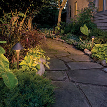 Load image into Gallery viewer, Hardy Island Classic Led Path Light in Outside Area.
