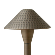Load image into Gallery viewer, Hardy Island Hammered Led Path Light in Detail.
