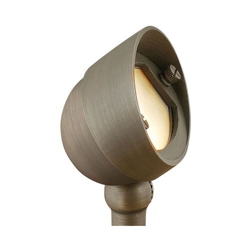 Hardy Island Led Wall Flood Light in Matte Bronze.