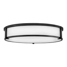 Load image into Gallery viewer, Lowell Flush Mount Ceiling Light in Black/Etched Opal (24-Inch).
