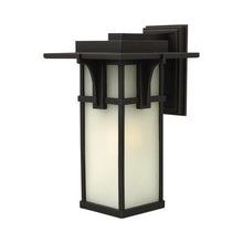 Load image into Gallery viewer, Manhatten Outside Area Wall Light in Etched Seedy/incandescent (Large).
