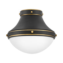 Load image into Gallery viewer, Oliver Flush Mount Ceiling Light in Black (Small).
