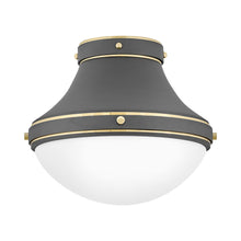 Load image into Gallery viewer, Oliver Flush Mount Ceiling Light in Dark Matte Grey (Small).
