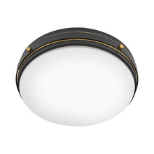 Load image into Gallery viewer, Oliver Flush Mount Ceiling Light in Detail.
