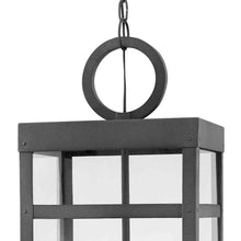 Load image into Gallery viewer, Porter Outside Area Pendant Light in Detail.
