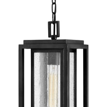 Load image into Gallery viewer, Republic Outdoor Pendant Light in Detail.

