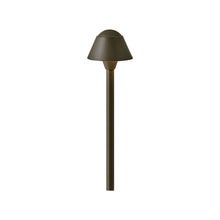 Load image into Gallery viewer, Rex Led Path Light in Small/Bronze.
