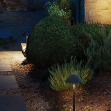 Load image into Gallery viewer, Rex LED Path Light in Outside Area.
