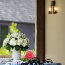 Load image into Gallery viewer, Sawyer Outdoor Wall Light in living room.
