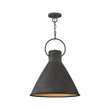 Load image into Gallery viewer, Winnie Pendant Light in Medium/Aged Zinc.
