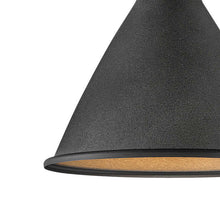 Load image into Gallery viewer, Winnie Pendant Light in Detail.
