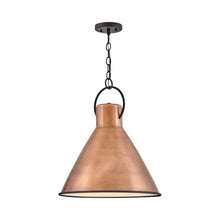 Load image into Gallery viewer, Winnie Pendant Light in Detail.
