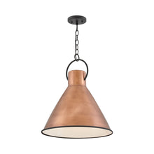 Load image into Gallery viewer, Winnie Pendant Light in Detail.
