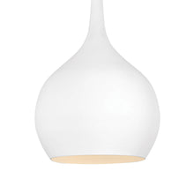 Load image into Gallery viewer, Ziggy Pendant Light in Detail.
