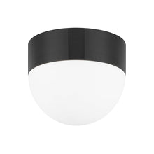 Load image into Gallery viewer, Adams Flush Mount Ceiling Light in Old Bronze (2-Light).
