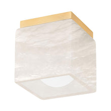 Load image into Gallery viewer, Budnick LED Bath Wall Light in Detail.
