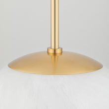 Load image into Gallery viewer, Burlington Pendant Light in Detail.
