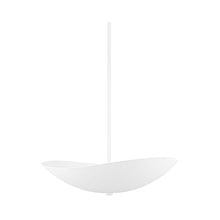 Load image into Gallery viewer, Fabius LED Pendant Light.
