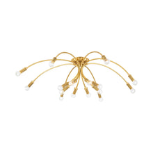 Load image into Gallery viewer, Amboy Semi Flush Mount Ceiling Light (16-Light).

