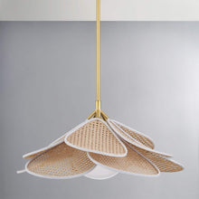 Load image into Gallery viewer, Florina Pendant Light in Detail.
