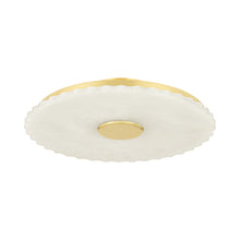 Load image into Gallery viewer, Highland Falls LED Flush Mount Ceiling Light.
