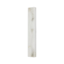 Load image into Gallery viewer, Sanger LED Wall Light (Large).
